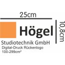 Digital Rückenlogo 100-299cm²