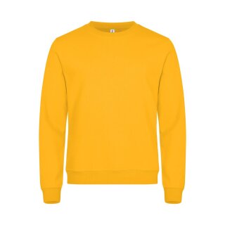 Miami Roundneck
