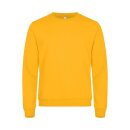 Miami Roundneck