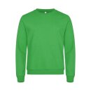 Miami Roundneck