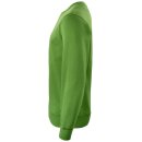 Classic Roundneck - Green Melange