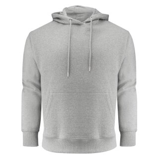 Hopedale Hoodie Aloe green