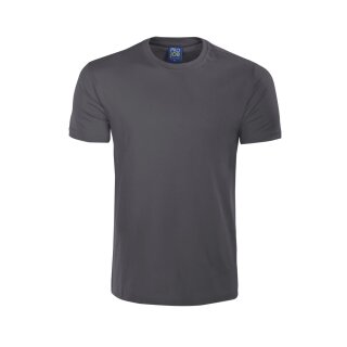 2016 T-shirt Grey